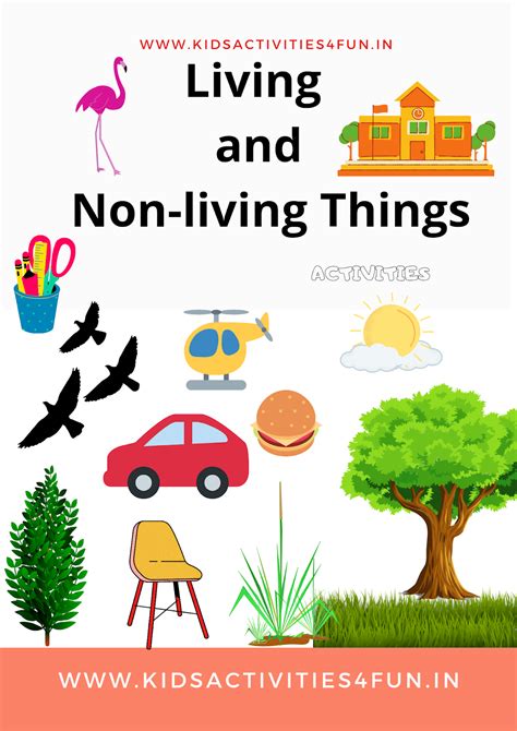 Living And Non.